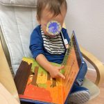 A toddler boy is reading a book.