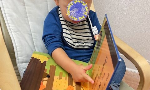 A toddler boy is reading a book.