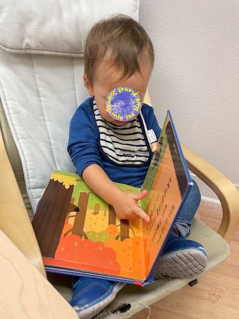 A toddler boy is reading a book.